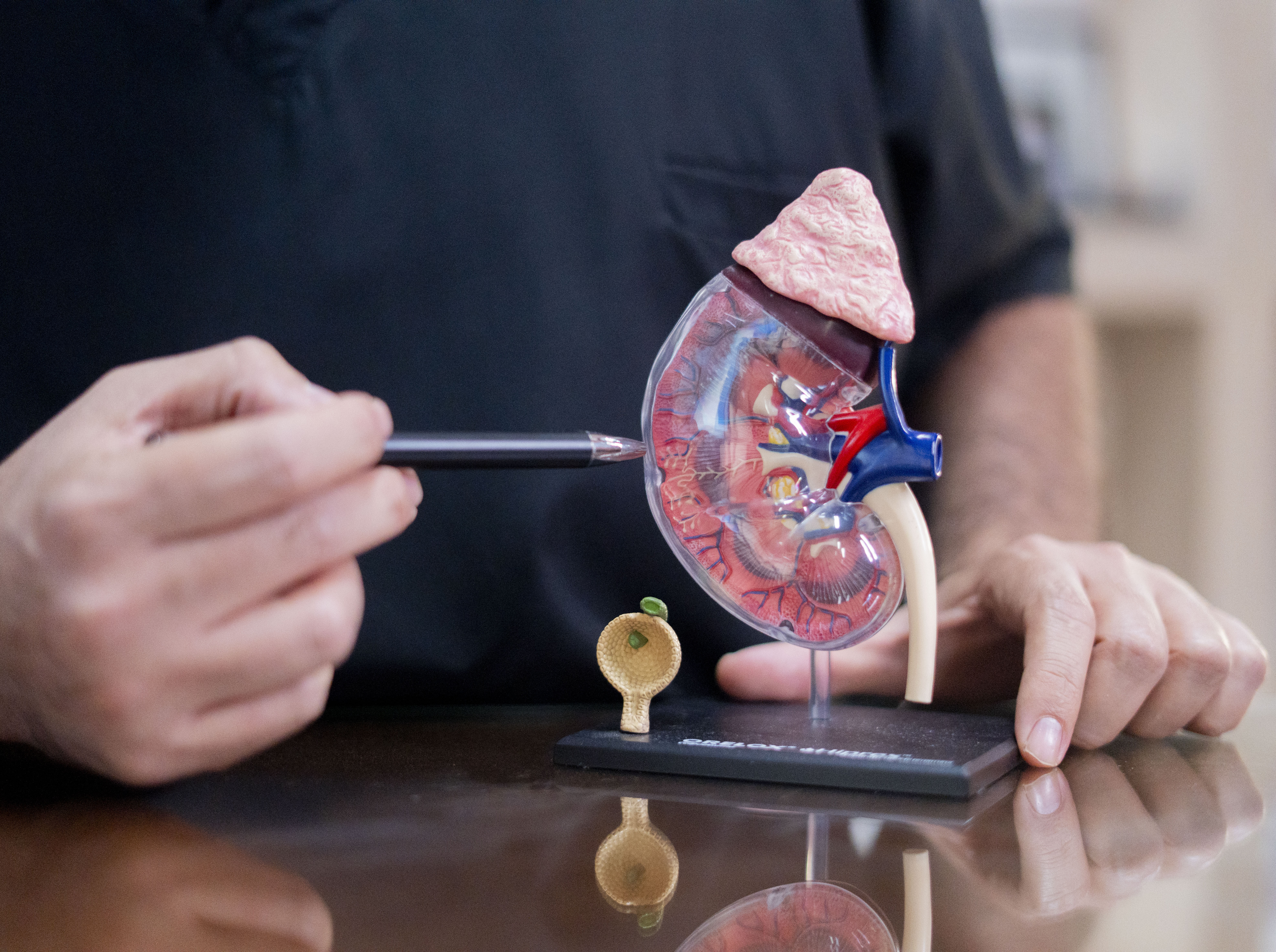 Galería Médica Dr. Dorian Narcía